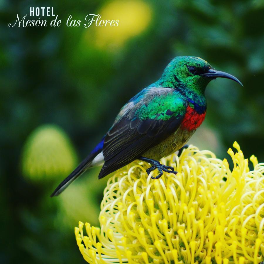 Hotel Meson De Las Flores أرمينيا المظهر الخارجي الصورة