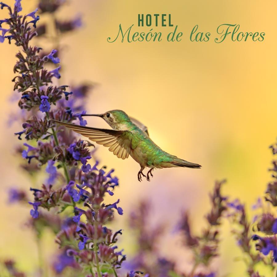 Hotel Meson De Las Flores أرمينيا المظهر الخارجي الصورة