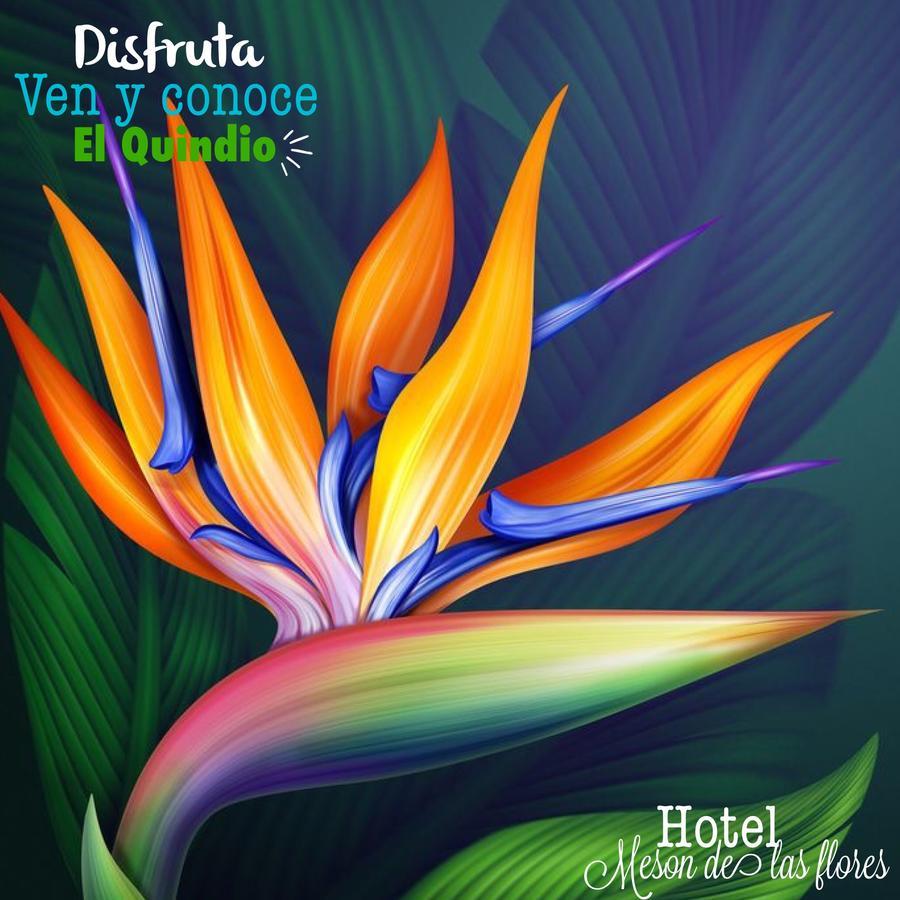 Hotel Meson De Las Flores أرمينيا المظهر الخارجي الصورة